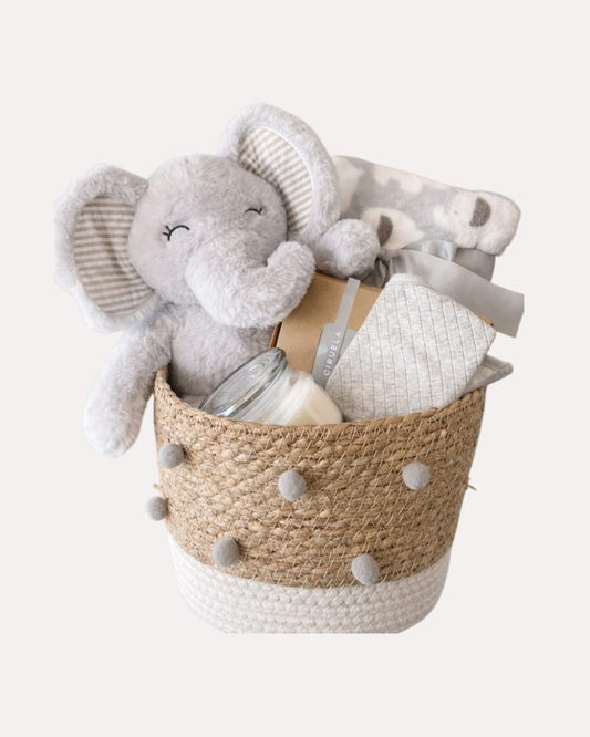 CESTA DE BEBE/Colección Elefante. Regalo para nacimiento