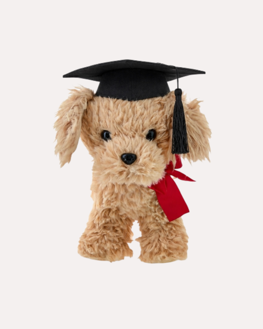 Dog Plush. Regalo de Graduación
