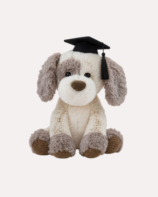 Dog Plush. Regalo de Graduación